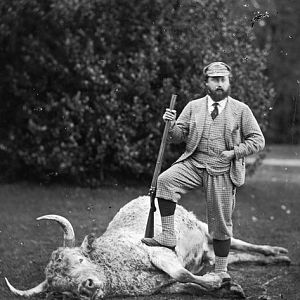 Edward, Prince of Wales Hunting wild Chillingham bull