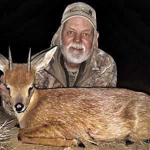 Hunting Cape Grysbok in South Africa