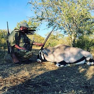 Hunt Gemsbok in South Africa