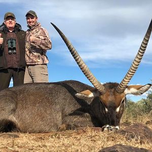 Waterbuck Hunt South Africa