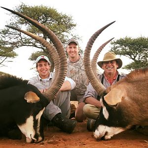 Sable and Roan Hunt South Africa