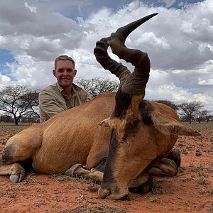 Hartebeest Hunt South Africa