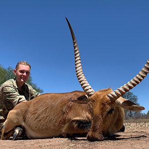 Red Lechwe Hunt South Africa