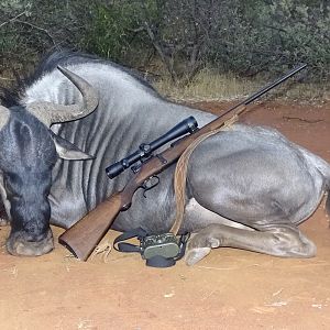 Hunting Blue Wildebeest in South Africa