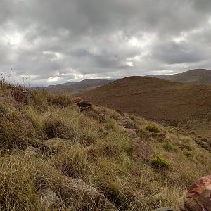 South Africa Hunt Aoudad