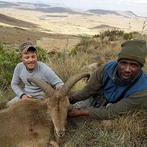 South Africa Hunting Aoudad