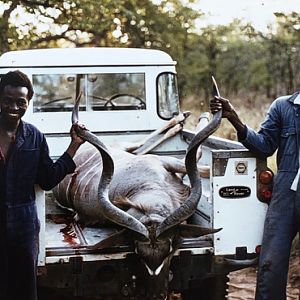 Hunting Kudu South Africa