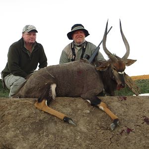 Hunt Nyala in South Africa