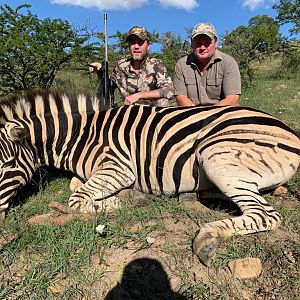 Hunt Burchell's Plain Zebra in South Africa