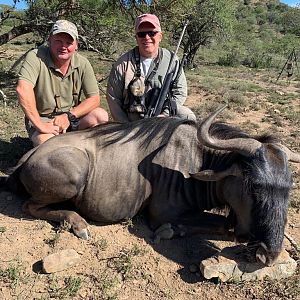 Hunting Blue Wildebeest in South Africa