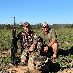 South Africa Hunting Warthog