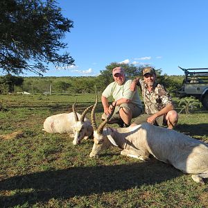 South Africa Hunt White Blesbok