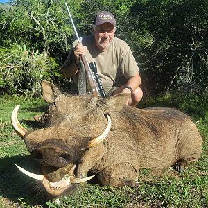 South Africa Hunting Warthog