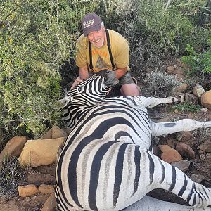 Burchell's Plain Zebra Hunting South Africa