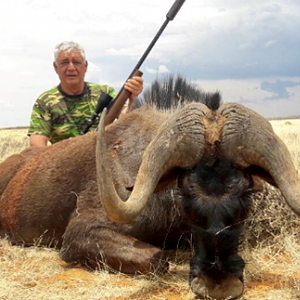 Hunt Black Wildebeest in South Africa