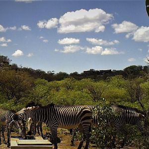 Trail camera at camp waterhole