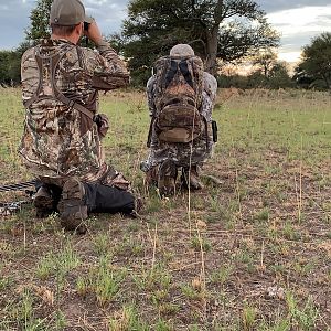 Argentina Bow Hunt Red Stag