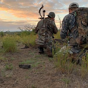 Red Stag Bow Hunting Argentina