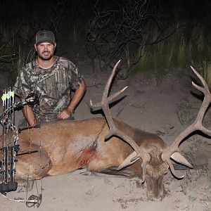 Red Stag Bow Hunt Argentina