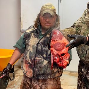 Bison Heart