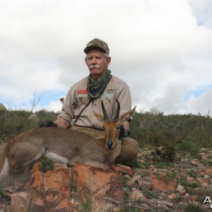 Mountain Reedbuck