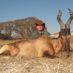 Red hartebeest, Hunting with Clients