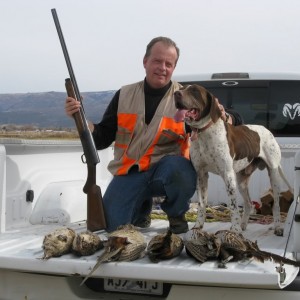 Fall Pheasant Hunt, Manti, Utah USA