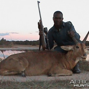 Hunting Reedbuck