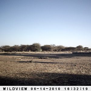 Kudus, Namibia