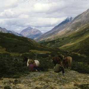 Glassing, Toad River Canada