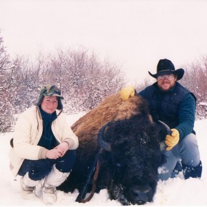 Bison