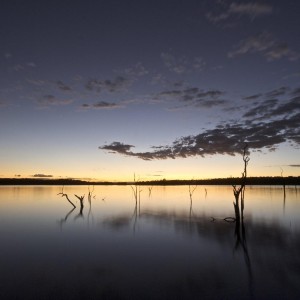 Cloud Dragon, Kariba