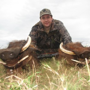 hunting Warthog South Africa