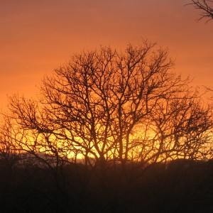 South African sky