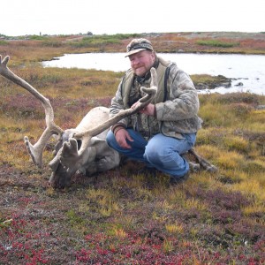 Caribou hunt