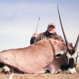 Gemsbok South Africa