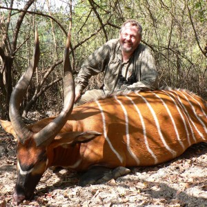 Hunt Bongo in Central African Republic