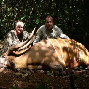 Hunting Bongo in Central African Republic