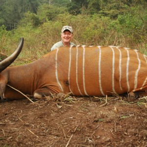 Hunting Bongo in Central African Republic