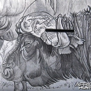 Cape Buffalo Engraving on Double Rifle