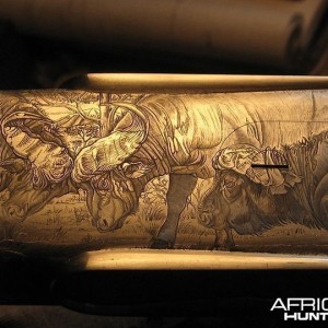 Cape Buffalo Engraving on Double Rifle