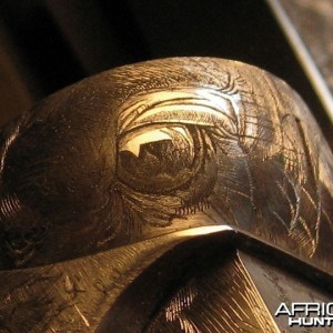 Cape Buffalo Engraving on Double Rifle