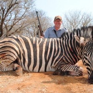 Zebra Hunted in South Africa