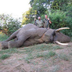 40lb Elphant March 2010