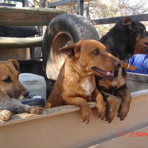 The boys in the pickup...