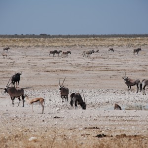 Etosha Pan