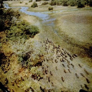 Helicopter Safari in Africa