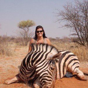 Burchell's Zebra hunted in Namibia