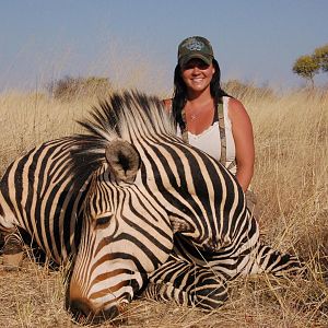 Hartmann's Mountain Zebra hunted in Namibia