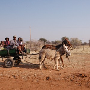 African Travel